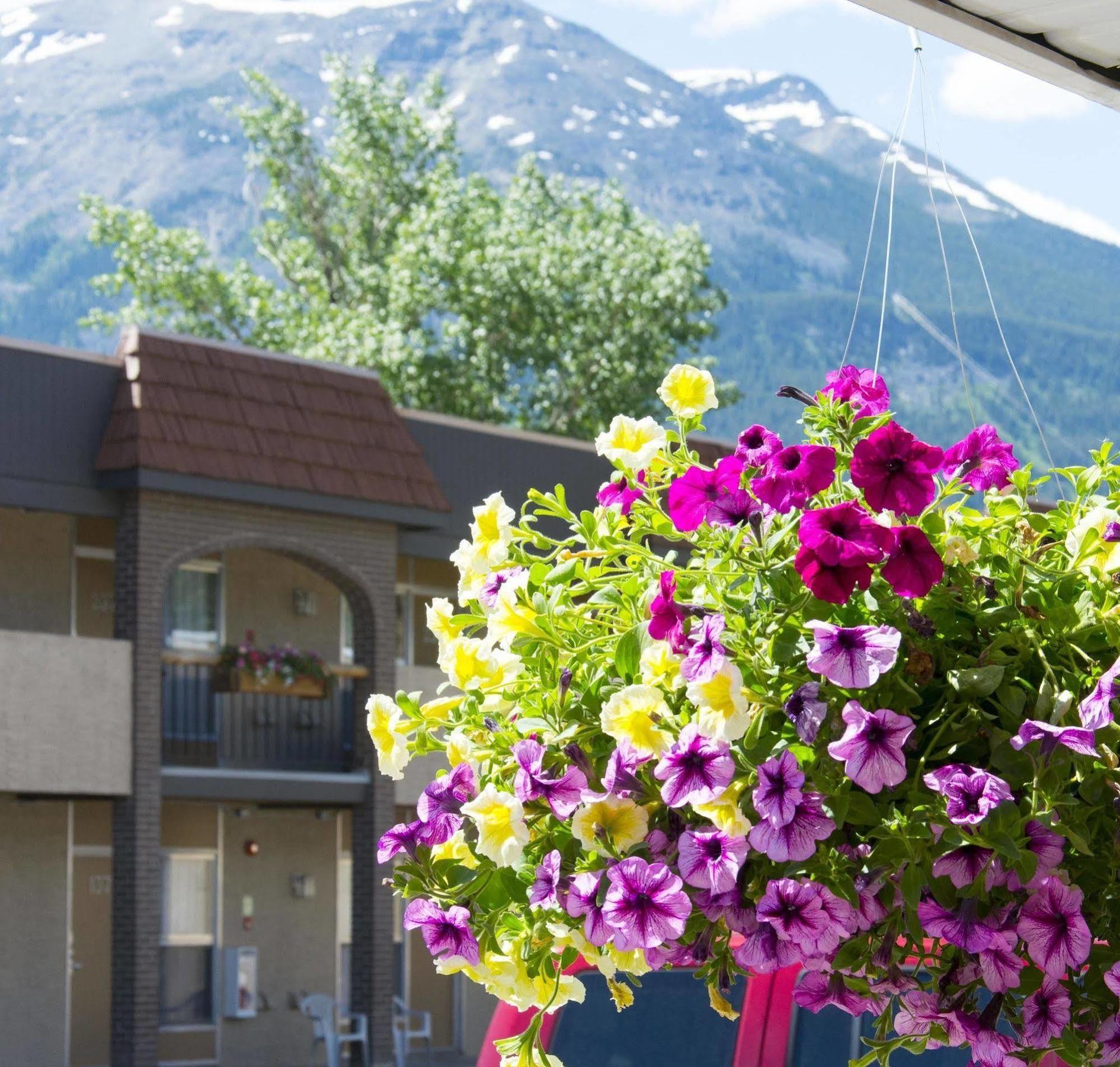 Maligne * Jasper