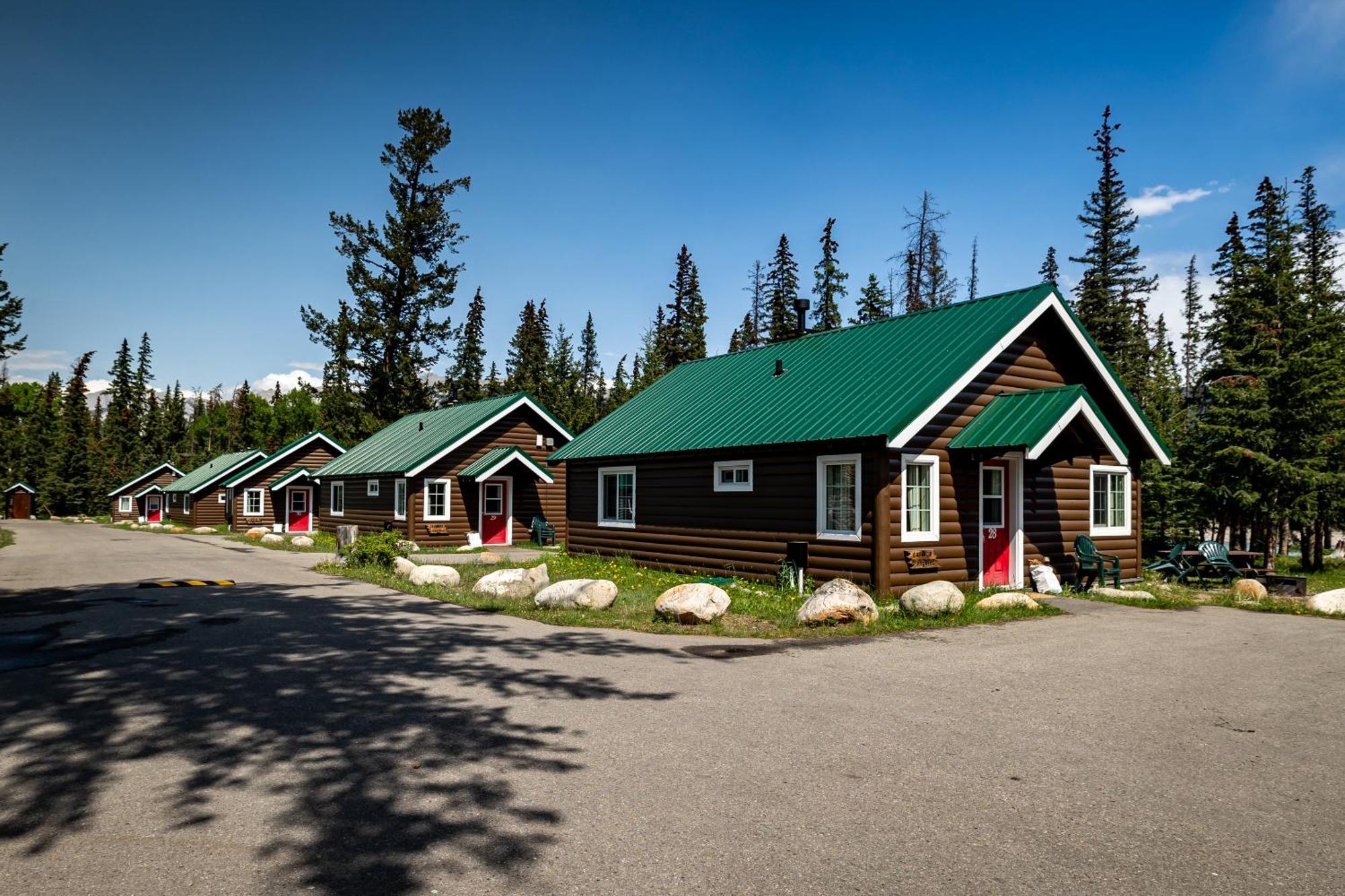 Lodge Pine *