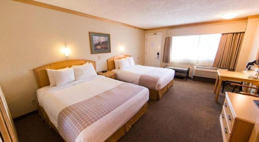 Mount Robson Hotel Jasper