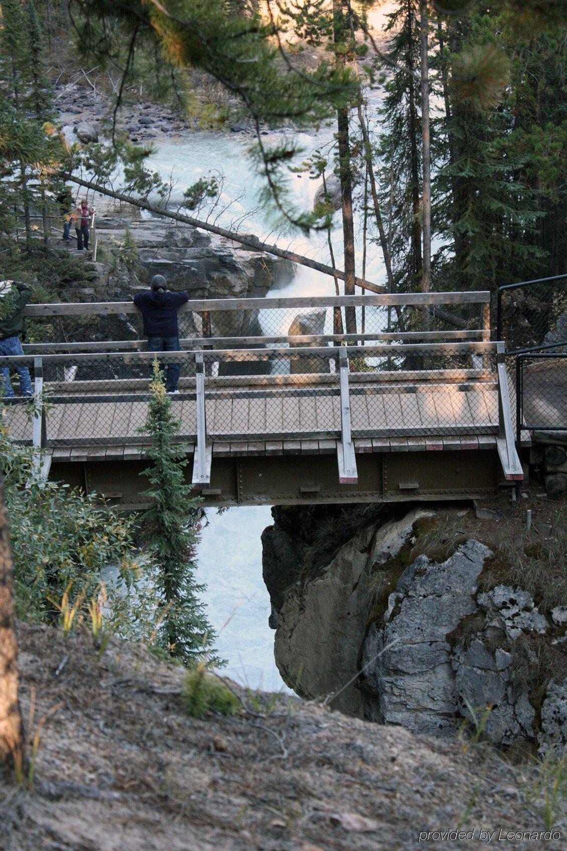Sunwapta Falls Rocky Mountain *