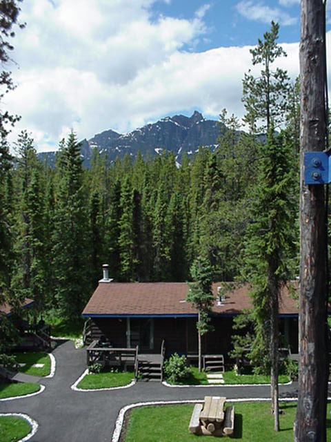 Sunwapta Falls Rocky Mountain *