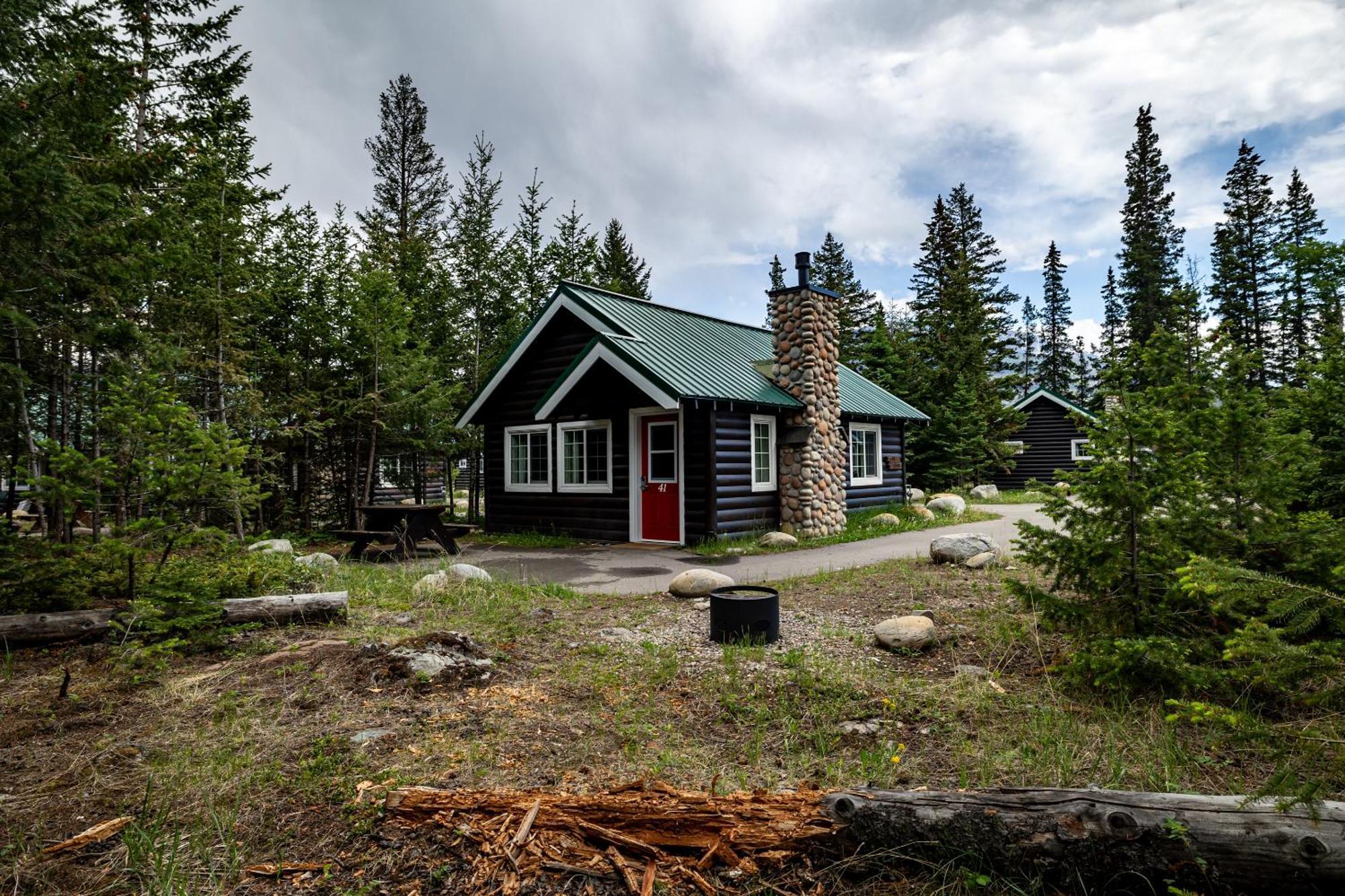 Lodge Pine